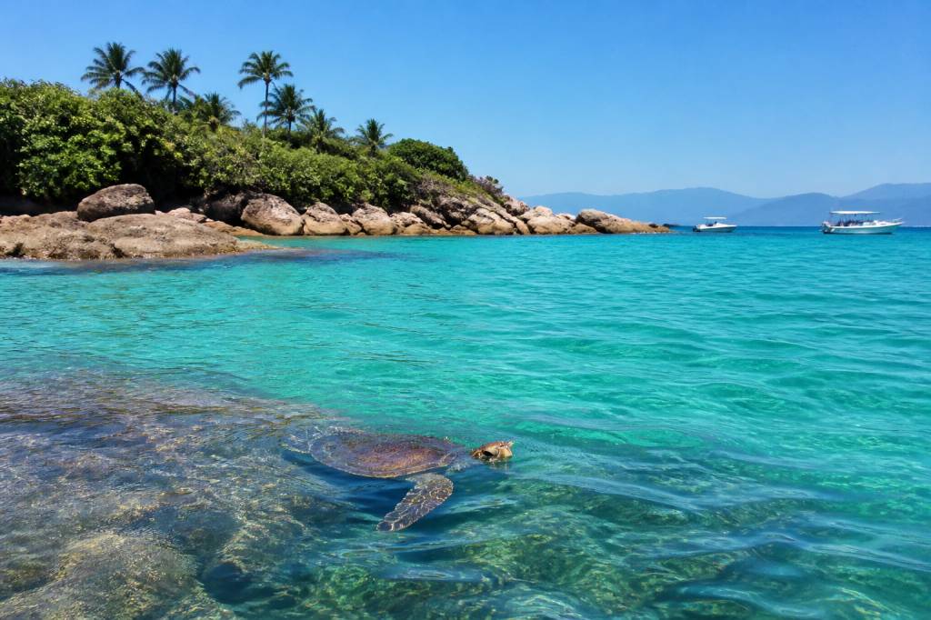 Ilha das tartarugas: guia de turismo, praias e experiências no litoral brésilien